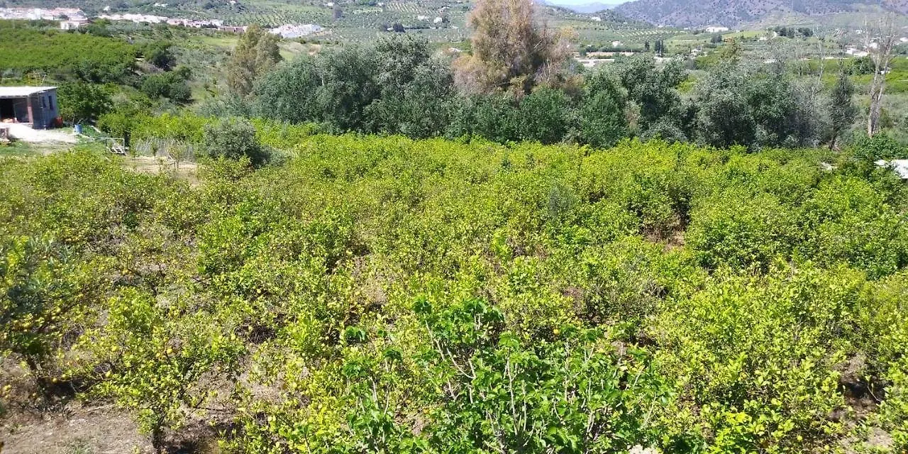 Vila Casa Del Caminito - Rocamadour Màlaga